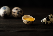 Recetas con huevos de codorniz 