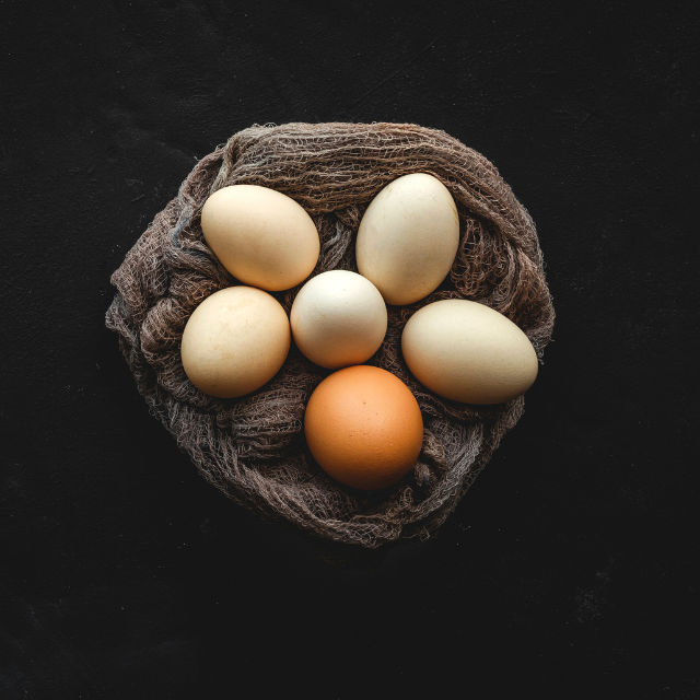 Huevos camperos: qué son, cómo diferenciarlos y beneficios