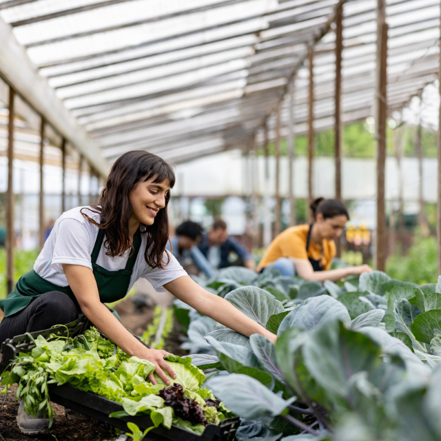 Alimentos regenerativos: saludables y sostenibles