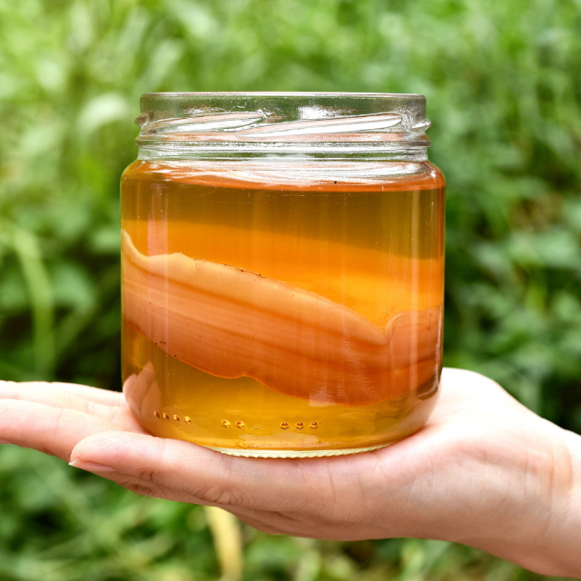 Cocina con fermentados: beneficios y recetas con kombucha, kimchi y miso
