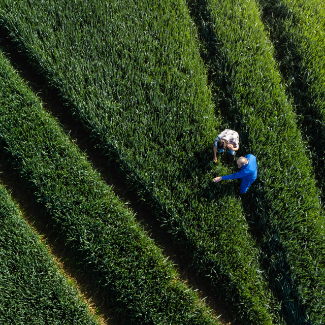 Alimentos regenerativos: saludables y sostenibles