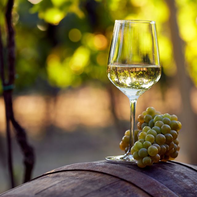 ¿Qué tienen de especial los vinos naturales?