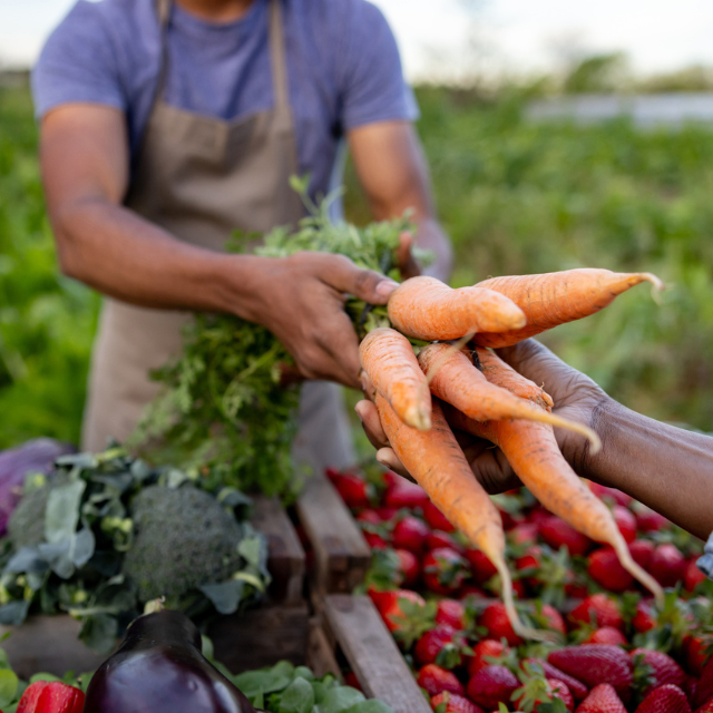 Alimentos regenerativos: saludables y sostenibles