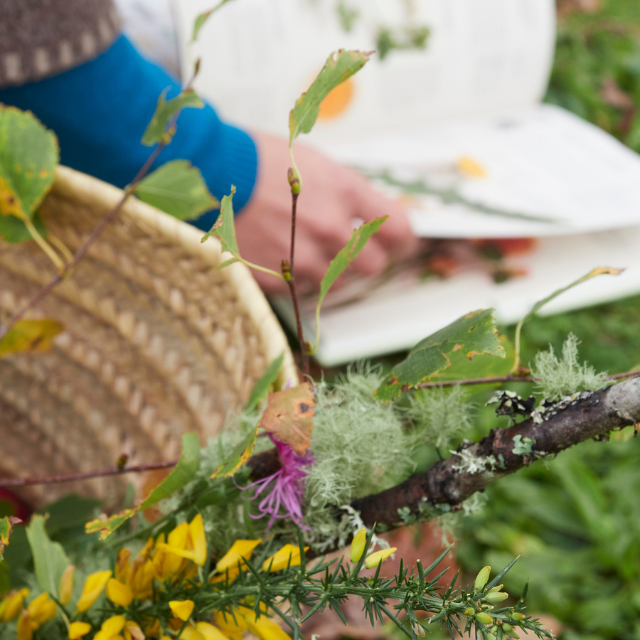 Foraging: la recolección silvestre que conecta gastronomía y naturaleza como filosofía