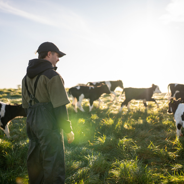 Alimentos regenerativos: saludables y sostenibles