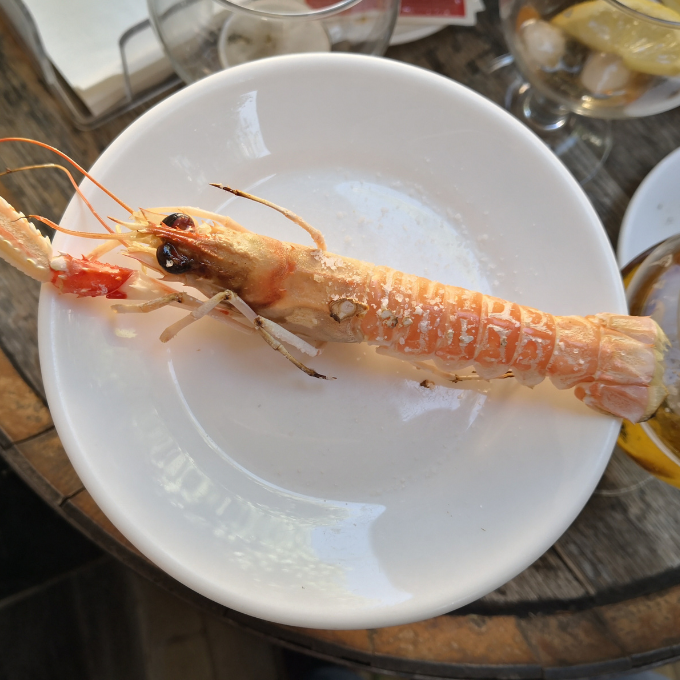 Las mejores tapas de pescado de Almería
