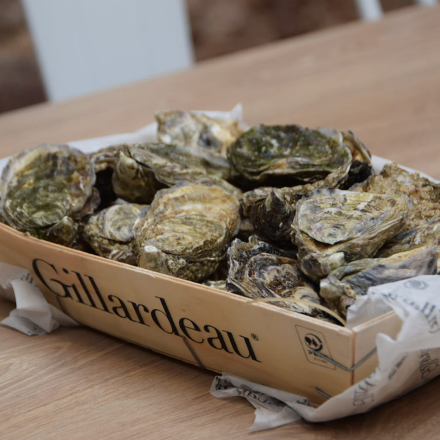 Restaurantes en Benicasim que no te puedes perder