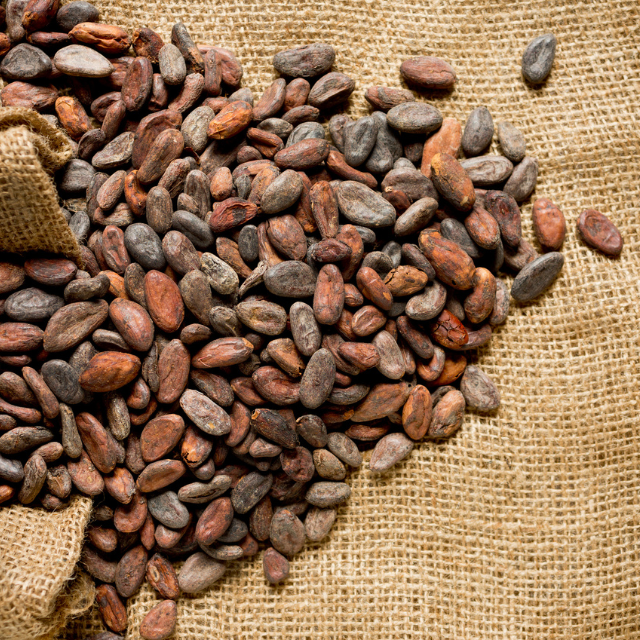 Chocolate bean-to-bar: qué es y en qué consiste