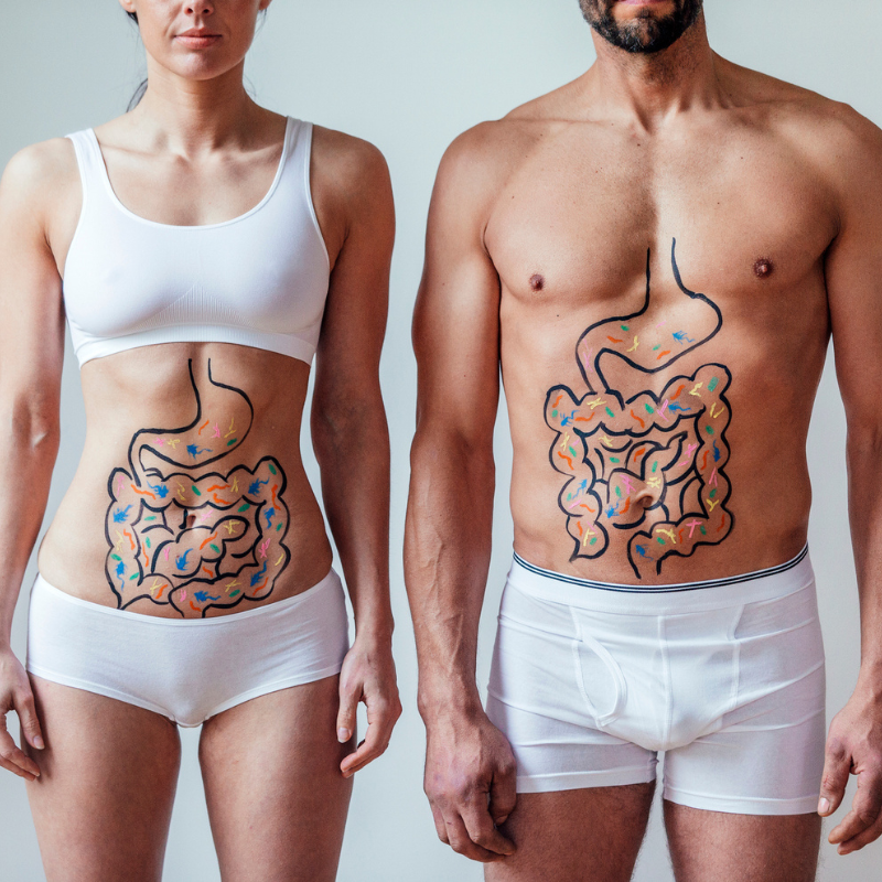 Cocinar para la microbiota: cómo mejorar la salud intestinal a través de la dieta