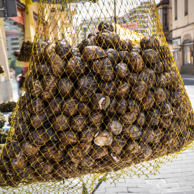 Caracoles a la catalana: tradición, platos y festivales
