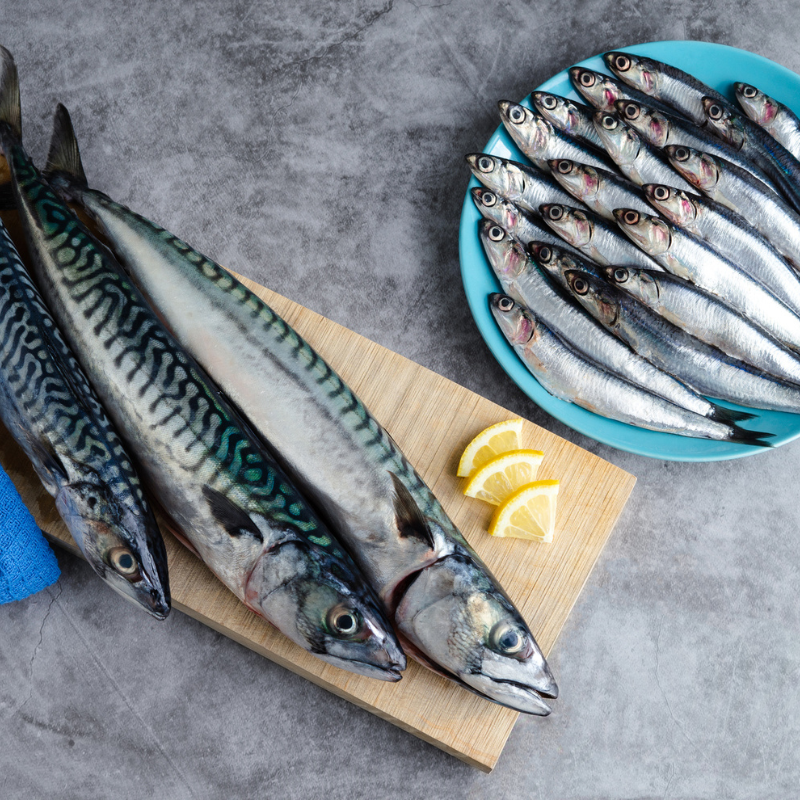 Pescado azul: por qué incluirlo en tu dieta y cómo aprovechar sus beneficios