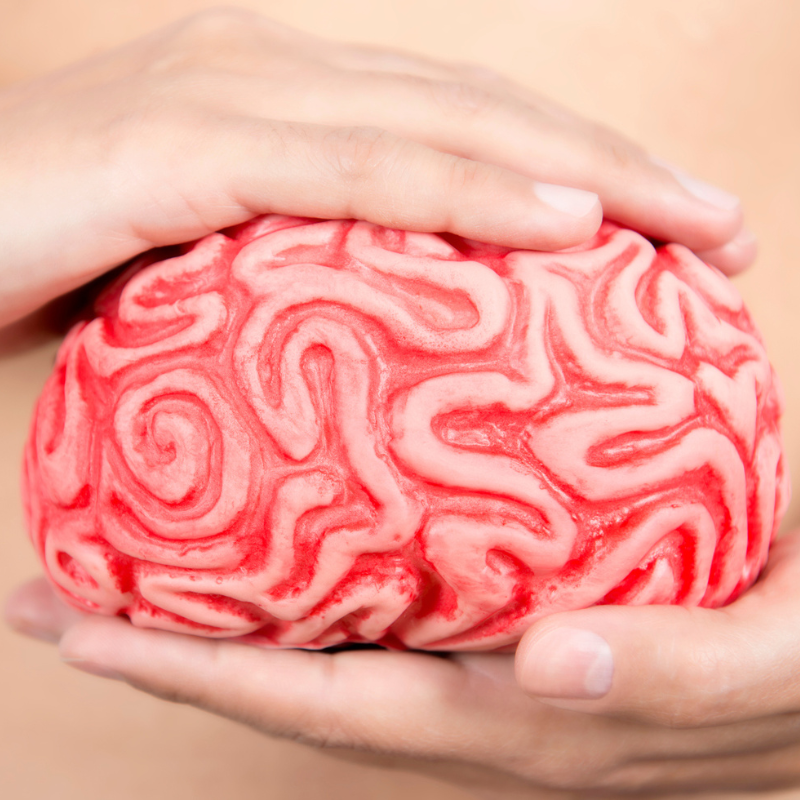 Cocinar para la microbiota: cómo mejorar la salud intestinal a través de la dieta