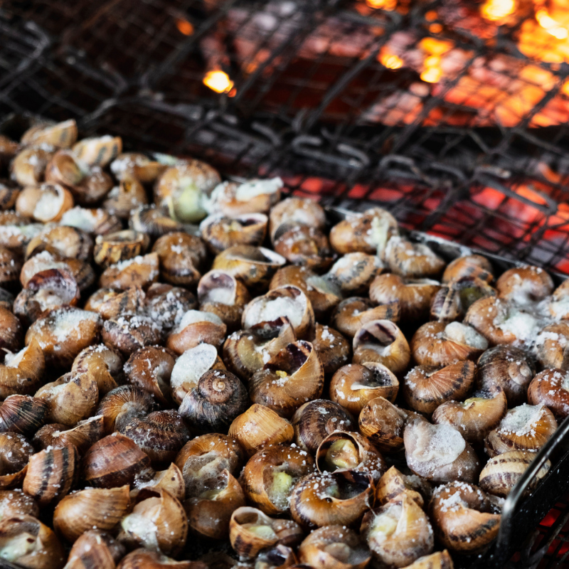 Caracoles a la catalana: tradición, platos y festivales