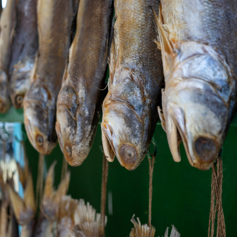 Gastronomía del desierto: cómo los métodos ancestrales de conservación inspiran la cocina del cambio climático