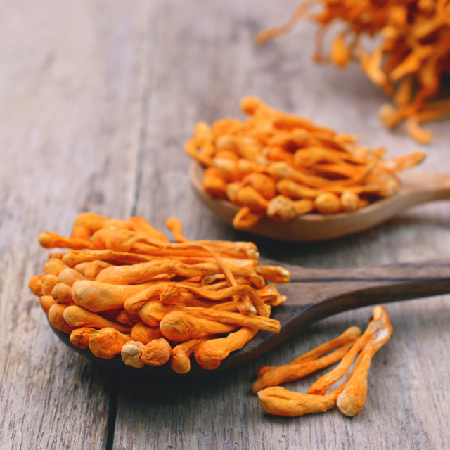 Alimentos adaptógenos: qué son y por qué están entrando en la cocina saludable 