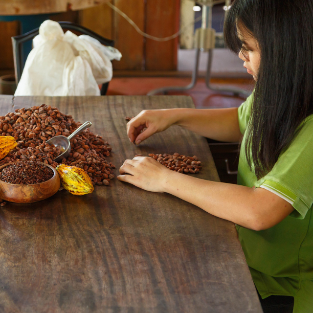 Chocolate bean-to-bar: qué es y en qué consiste
