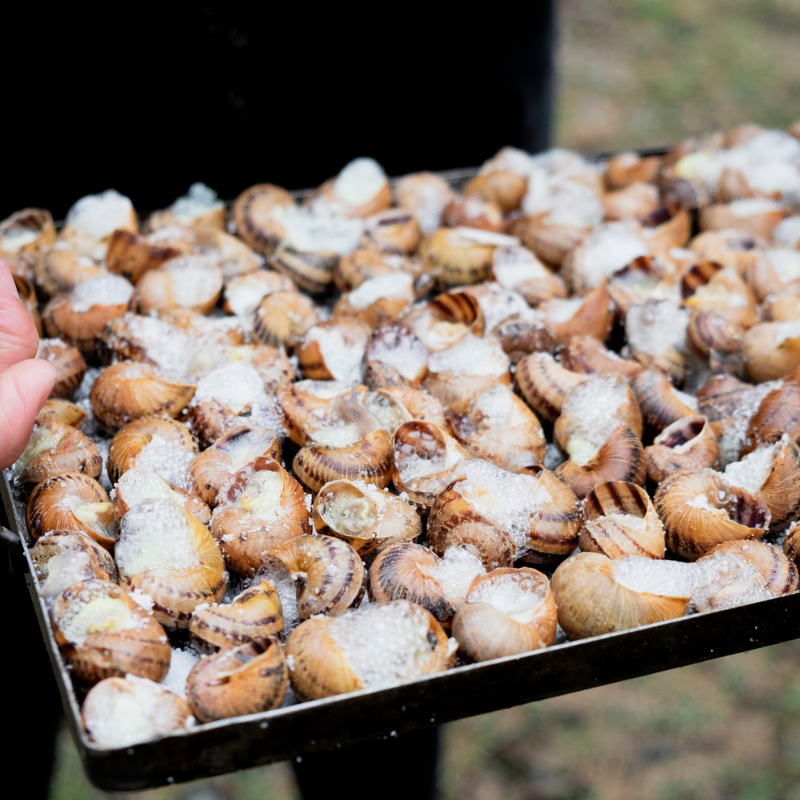 Caracoles a la catalana: tradición, platos y festivales