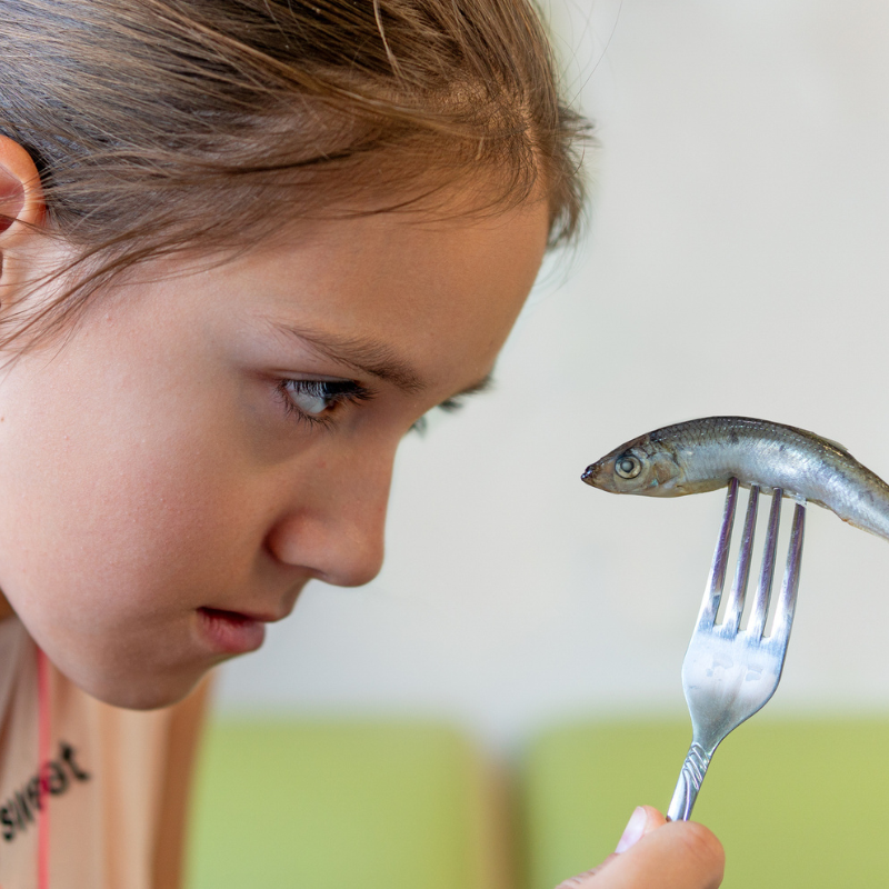 Pescado azul: por qué incluirlo en tu dieta y cómo aprovechar sus beneficios