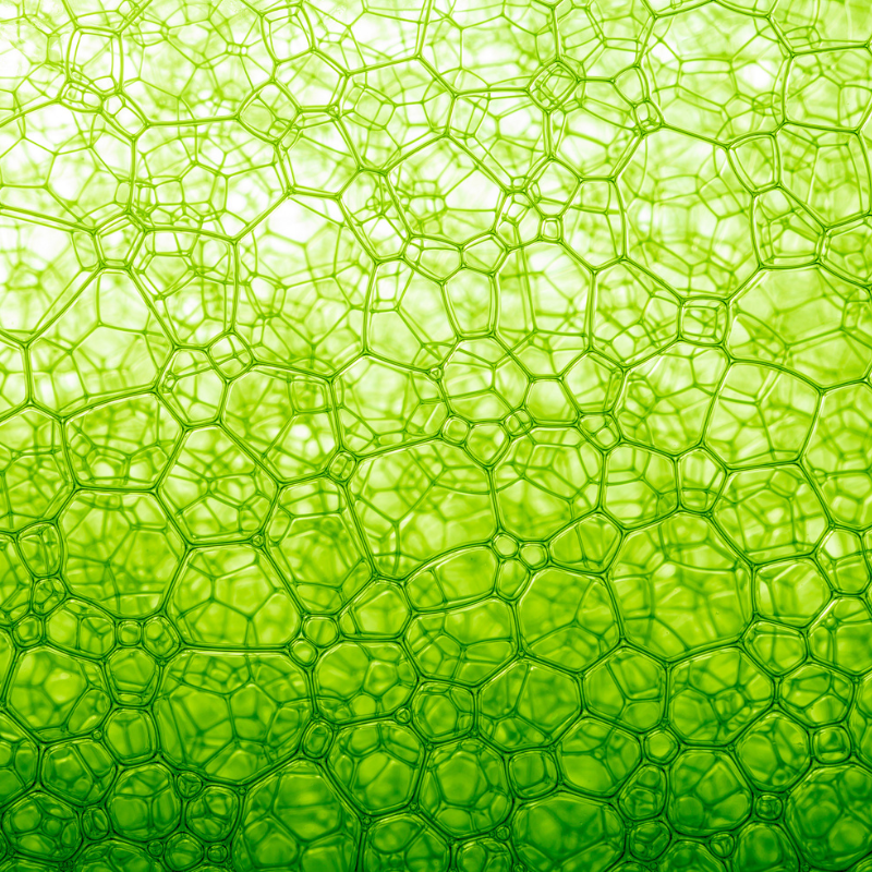 Gastronomía molecular explicada: ciencia, cocina y técnica