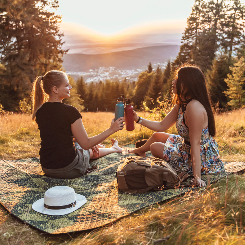 Picnics saludables: ideas para playa, piscina y montaña