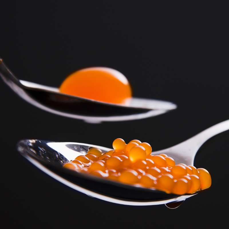 Gastronomía molecular explicada: ciencia, cocina y técnica