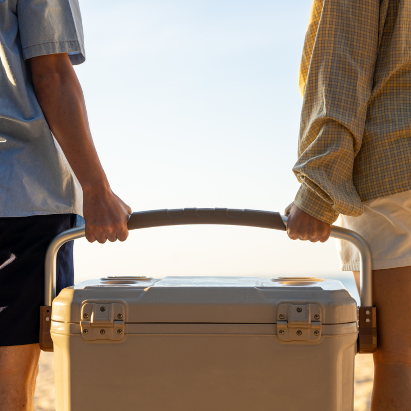 Picnics saludables: ideas para playa, piscina y montaña