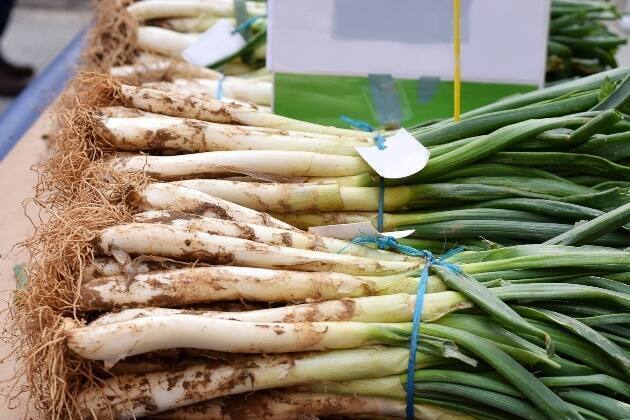 calçot