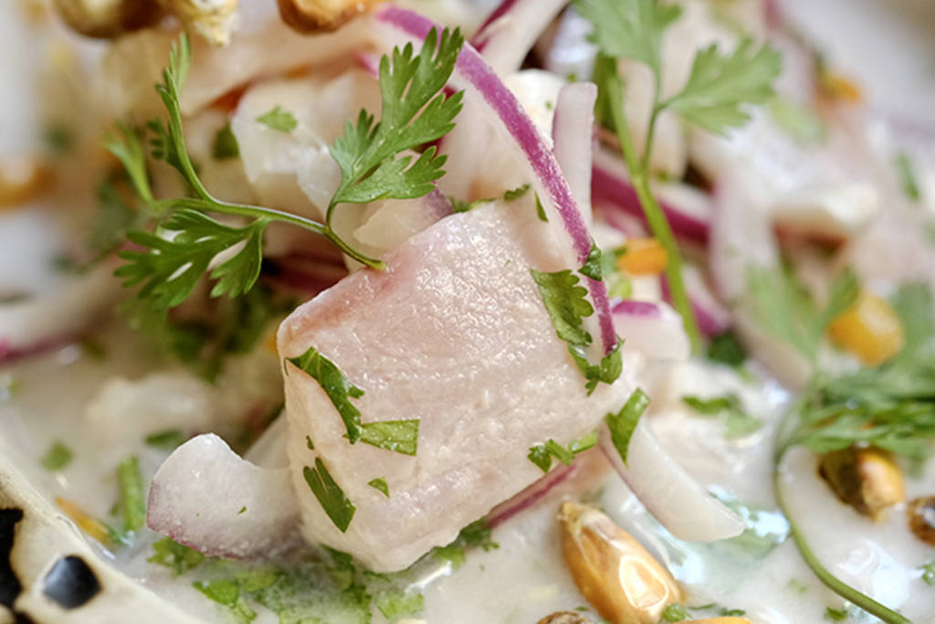 Ceviche de corvina