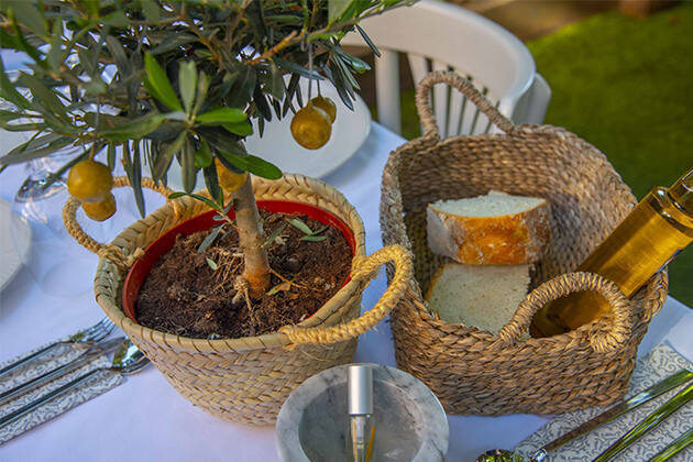 Alambí Bonsai