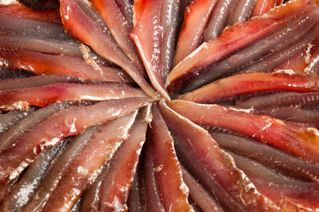 Anchoas_caseras