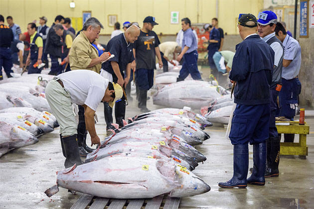 Mercado de Tsukiji en Tokio