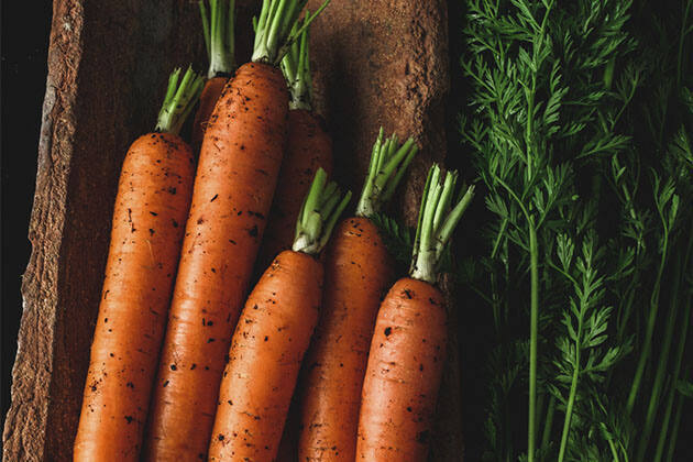 Zanahorias