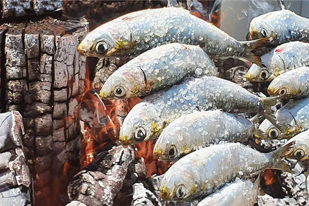 Maloca