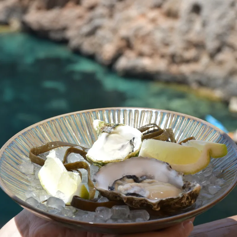 Foradada Mar