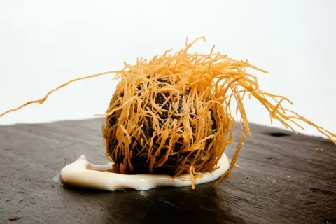 Croquetina turner