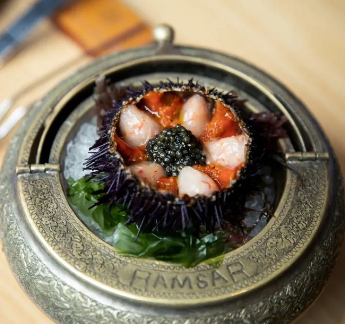 Concurso NAVIDAD ESTIMAR