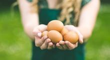Cómo detectar unos buenos huevos: sanos, frescos y nutritivos