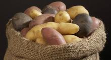 La patata: 11 recetas con el tubérculo más generoso