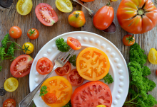 Cocinar con tomates: variedades, consejos y sabrosas recetas