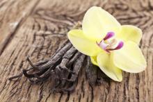 Vainilla, la orquídea de la cocina: historia y algunas recetas