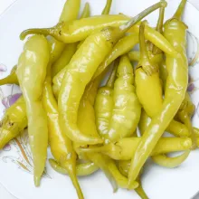 Piparras