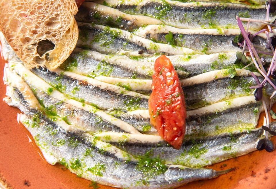 10 formas de cocinar anchoas