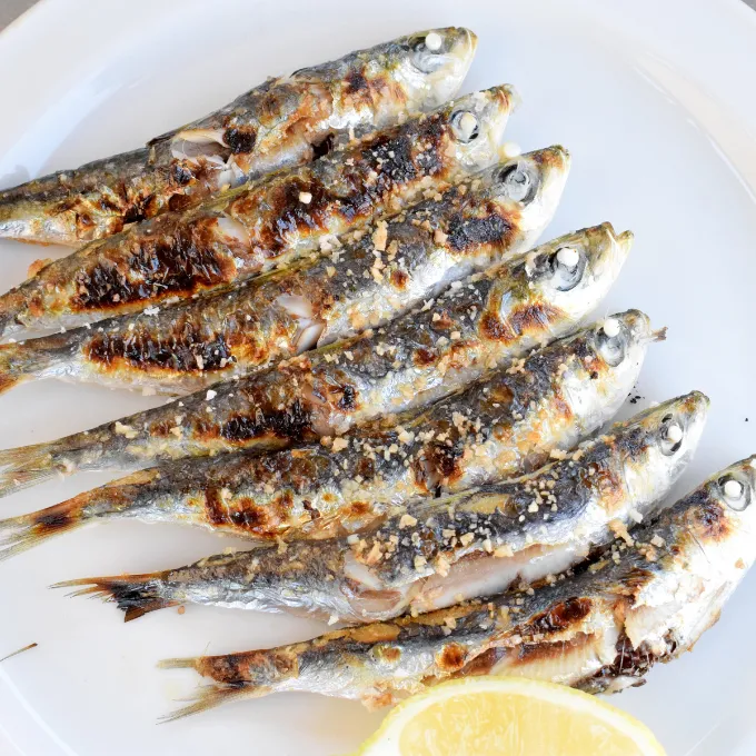 Dónde comer auténtica cocina tradicional en Málaga