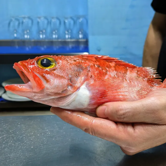 Las mejores tapas de pescado de Almería