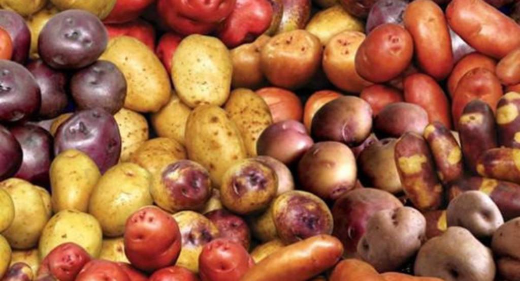 Patatas: un alimento genérico y universal que todavía sorprende