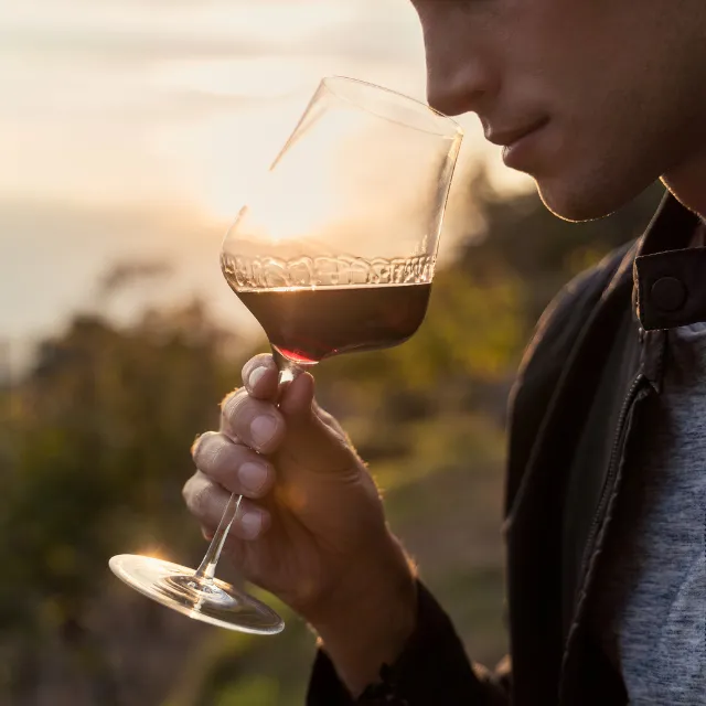 ¿Qué tienen de especial los vinos naturales?