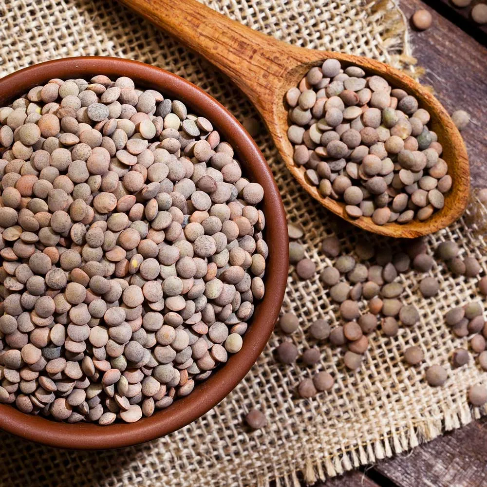 Llenties: el llegum mil·lenari de moda i molt nutritiu