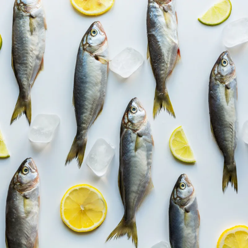 Pescado azul: por qué incluirlo en tu dieta y cómo aprovechar sus beneficios