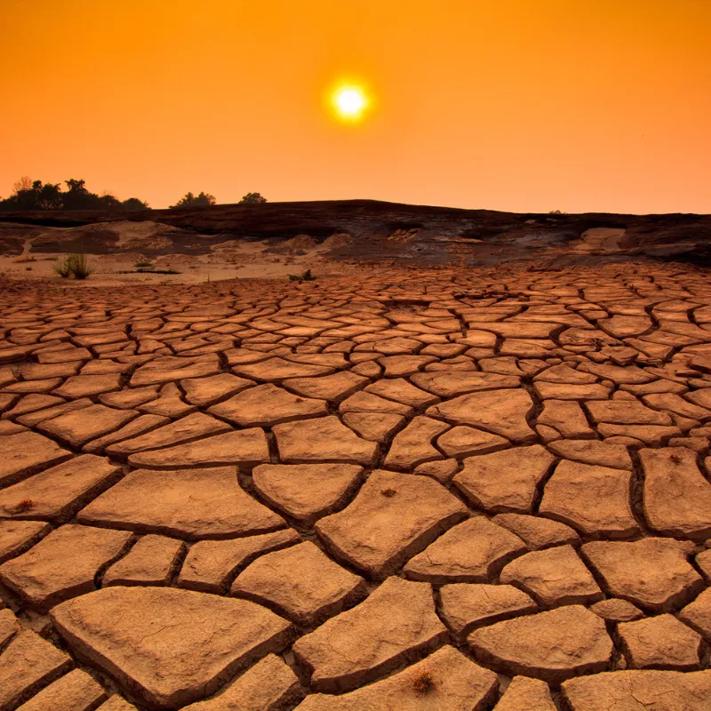 Gastronomía del desierto: cómo los métodos ancestrales de conservación inspiran la cocina del cambio climático