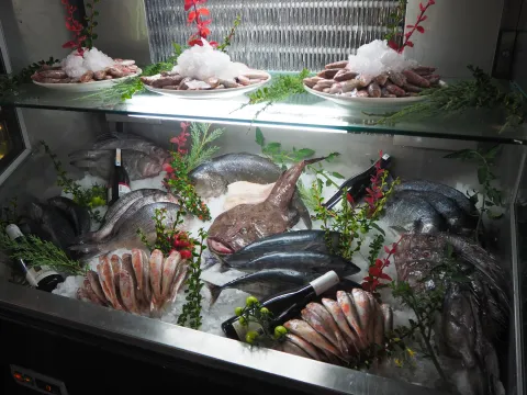 Vitrinas de pescado